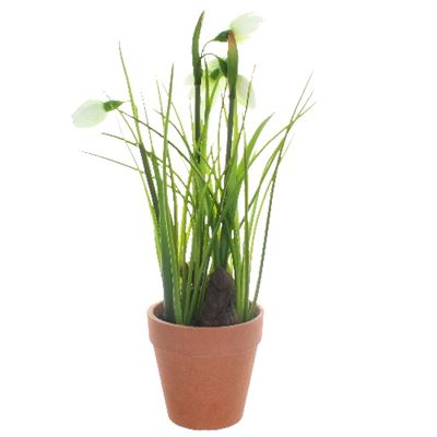 Terracotta Potted Realistic Artificial Snowdrop